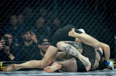 Kiev, Ukrayna - 02 Mart 2019: Sormova Magdaalena mma kız incir