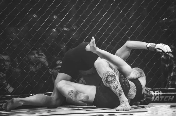 Kiev, Ukrayna - 02 Mart 2019: Sormova Magdaalena mma kız incir