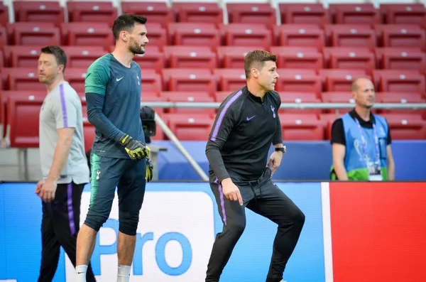 Madrid, Spagna - 01 MAGGIO 2019: Hugo Lloris e Mauricio Pochettino — Foto Stock