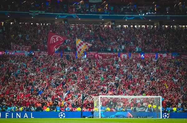 Madrid, Spain - 01 MAY 2019: Liverpool fans celebrate their winn — Stock Photo, Image