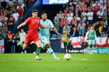 Porto, Portuglal - 09 Haziran 2019: Steven Bergwijn ve Goncalo Gu