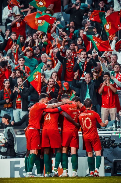 포르투, 포르투갈 - 2019년 6월 09일: 포르투갈 대표팀 셀레프라 — 스톡 사진