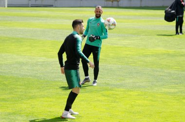 Porto, Portuglal - 09 Haziran 2019: Beto ve Portekiz milli çay