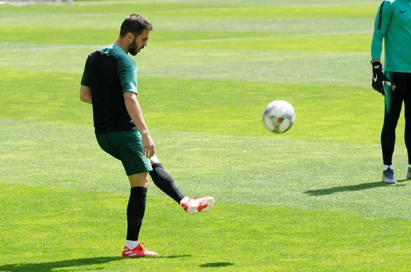 PORTO, PORTUGLAL - 09 de junho de 2019: Treinamento da Seleção Portuguesa — Fotografia de Stock