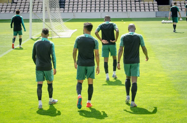 PORTO, PORTUGLAL - 09 de junho de 2019: Treinamento da Seleção Portuguesa — Fotografia de Stock