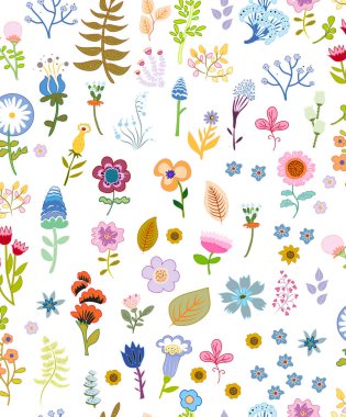 Beyaz arkaplanda çok renkli çiçekler