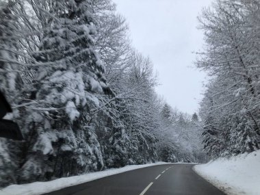 Avusturya, 2019 kar yağışı Golling kışın