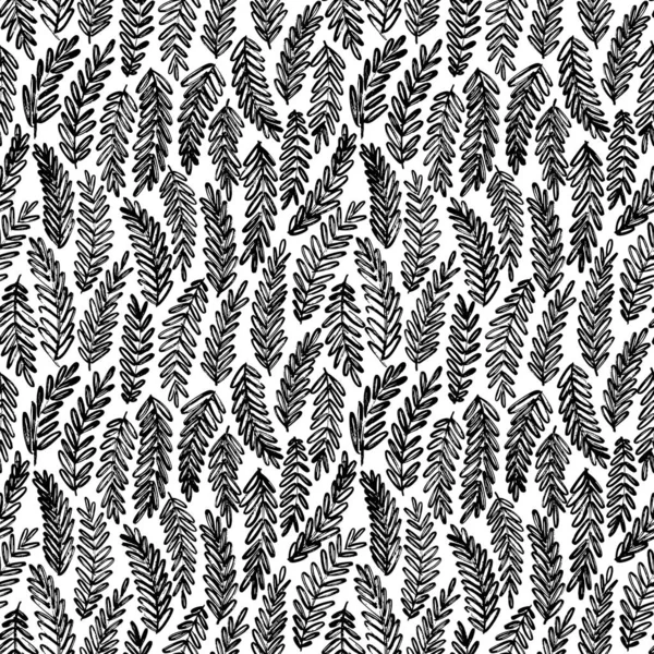 Acacia leaves hand drawn seamless pattern. Vector ink brush texture with tree branches. — Stock Vector