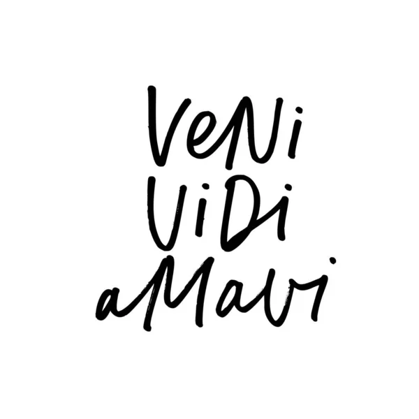 Veni vidi amavi tinta pluma letra manuscrita — Vector de stock