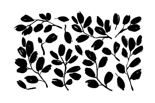 Plant takken met bladeren vector illustraties. — Stockvector