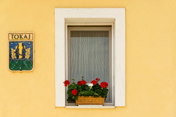 Finestra Stemma Sulla Casa Nel Centro Tokaj Regione Vinicola Tokaj — Foto Stock