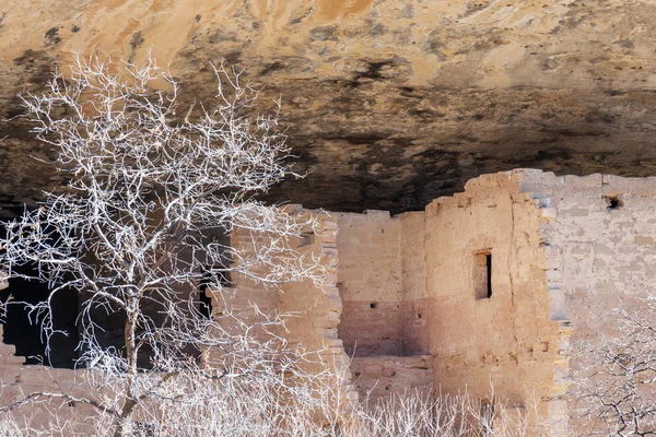 Ruiny Mieszkania Park Narodowy Mesa Verde Colorado — Zdjęcie stockowe