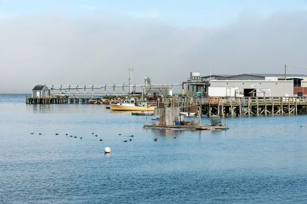 Şleme Tesisi Balıkçı Tekneleri Umudu Harbor Kuzey Maine Abd Istakoz — Stok fotoğraf