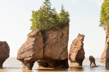 Fundy Körfezi ünlü Hopewell rocks adlı yüksek gelgit, New Brunswick, Amerika Birleşik Devletleri