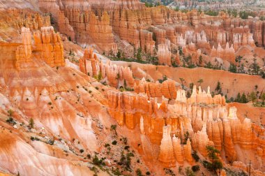 Bryce Canyon Milli Parkı gündoğumu ışık, Utah, ABD'de parlak hoodoos