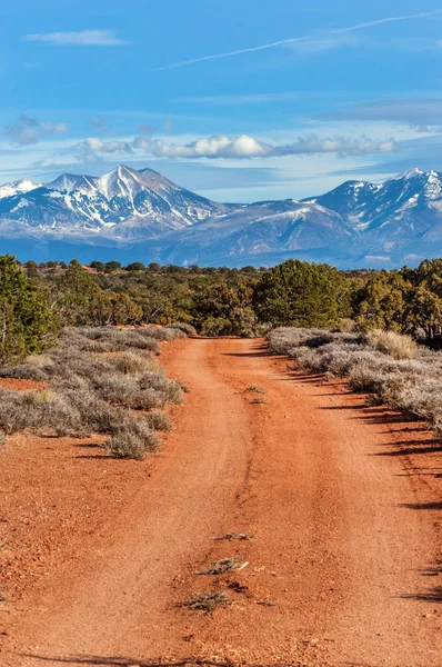Horská Silnice Lese Poblíž Hory Sal Utahu — Stock fotografie