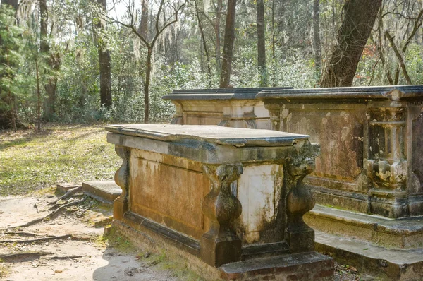 Güney Carolina Ormandaki Yaşlı Sheldon Kilise Kalıntıları Tarafından Lahit Savaştan — Stok fotoğraf