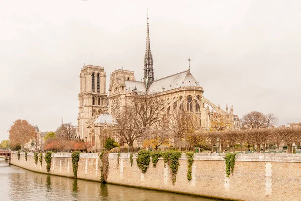 View Undamaged East Facade Notre Dame Paris Autumn Colors Renovation — Stock Photo, Image