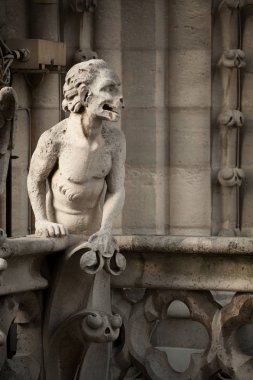 Zarar görmemiş Notre Dame de Paris, Fransa 'nın çatısındaki kimera figürüne yaklaş.
