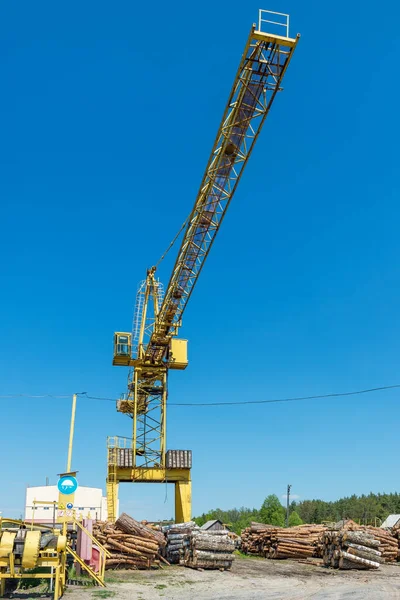 Large Industrial Crane Piles Freshly Cut Logs Sawmill Factory — Stock Photo, Image