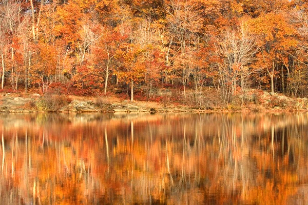 Folhagem Outono Dourada Torno Lago Nova Jersey Nas Montanhas Apalaches — Fotografia de Stock