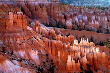Bryce Canyon Ulusal Parkı 'nın Sunrise, Utah, ABD