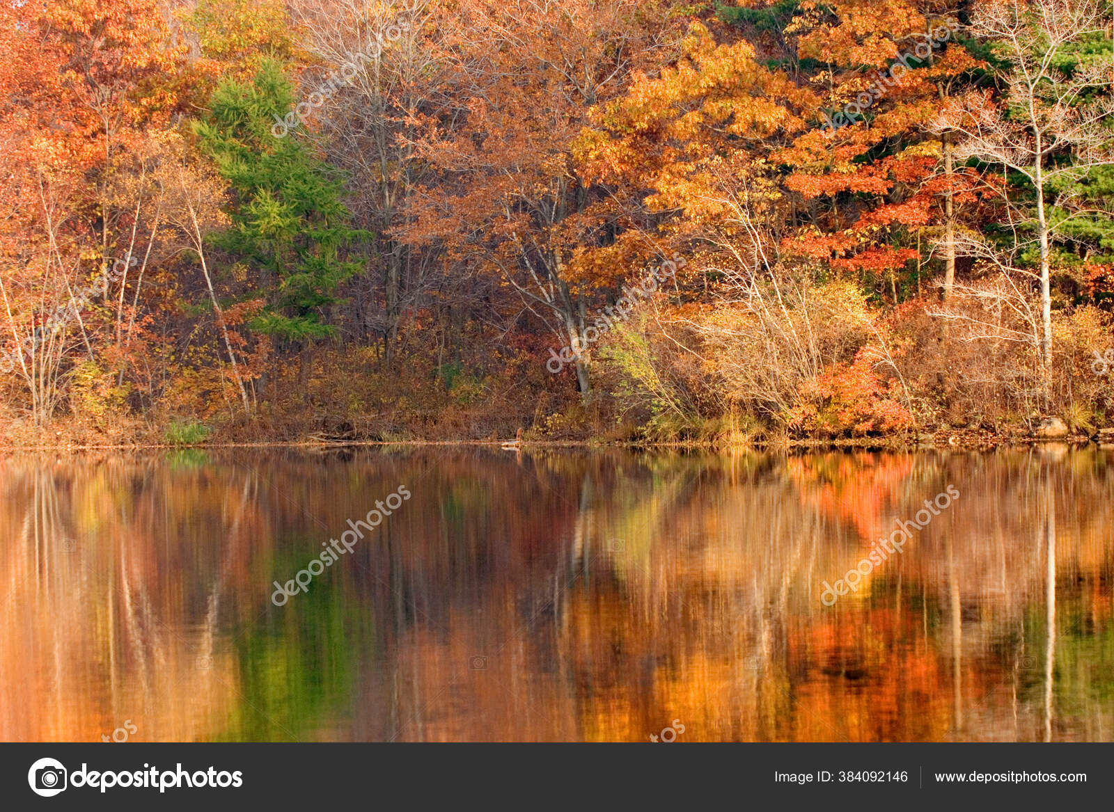 Golden Autumn Foliage New Jersey Lake Appalachian Mountains Usa — Stock