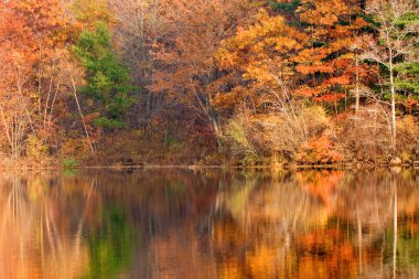 Appalachian dağlarındaki New Jersey Gölü çevresinde altın sonbahar yaprakları, ABD