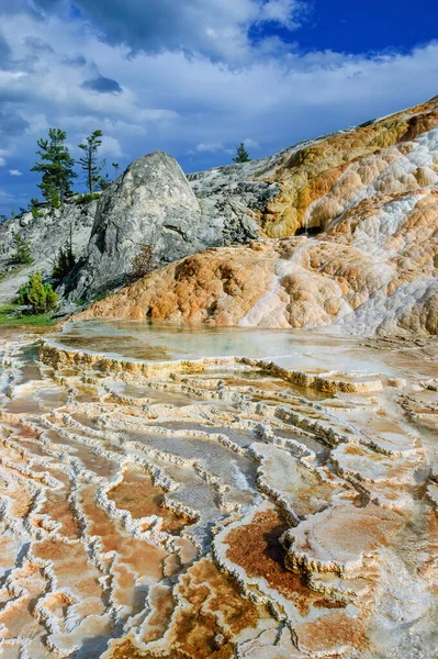 美国黄石公园Minerva Terrace温泉的石灰质沉积 — 图库照片