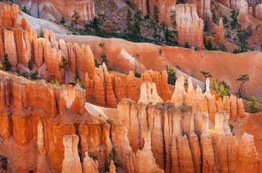 Bryce Canyon kabadayıları güneşin ilk ışıklarıyla, Utah, ABD