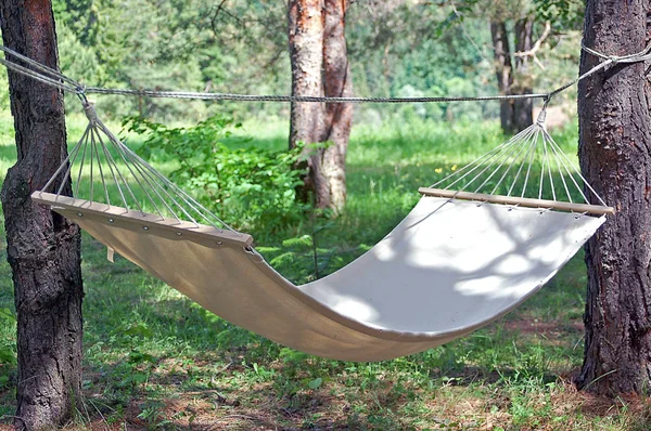 Camping in the summer holidays. Hammock stretched between two trees.