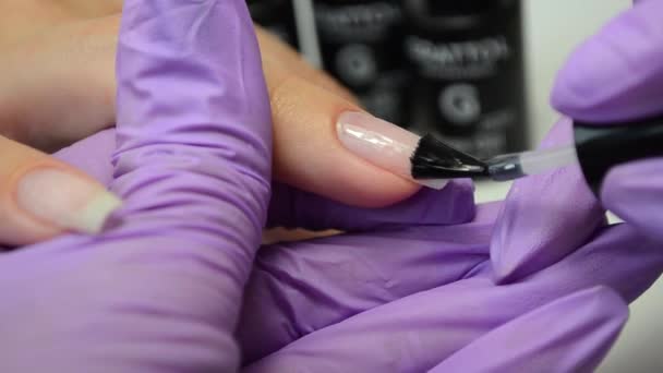 Manicura maestro en guantes púrpura aplicar esmalte de uñas transparente en la uña clientes . — Vídeo de stock