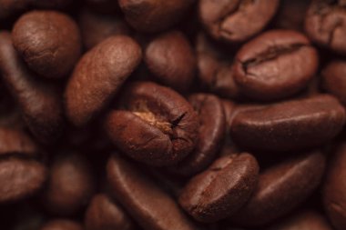 Arabica kahve taneleri yakın çekim. Üstte görüntü