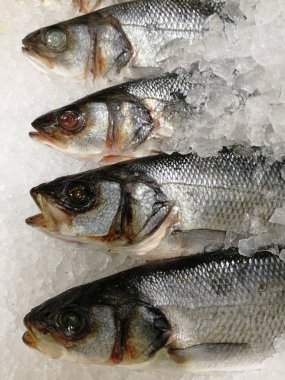 Bir mağazada buz üzerinde balık kafaları ve organları