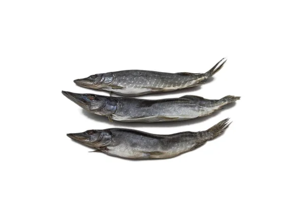 Drie Snoeken Vissen Isoleren Witte Achtergrond — Stockfoto