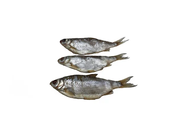 Peixe Três Barata Seca Isolar Fundo Branco — Fotografia de Stock
