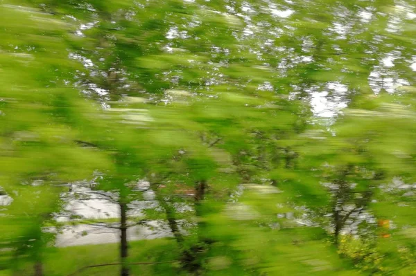 Vista Árboles Con Hojas Verdes Desde Coche Movimiento Larga Exposición — Foto de Stock