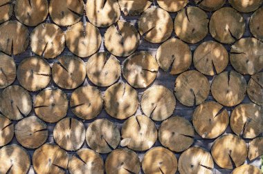 Ağaç kesitlerinden oluşan duvar. Dokusal arka plan. Gölge