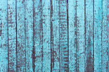 Mavi eski boyalı dikey çit panoları soyma. Ön görünüm. Dokulu arka plan.