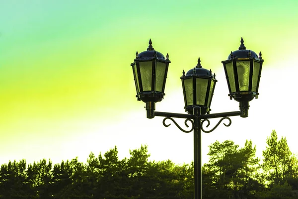 Ламповый Столб Тремя Лампами Городе Вид Спереди — стоковое фото