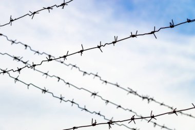Ön planda dikenli tel ve mavi gökyüzü ve mavi bulutlar bir arka plan karşı arka plan. Aşağıdan görüntüle.