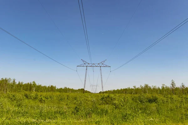 西シベリアの森林における高圧送電パイロン パースペクティブの表示 — ストック写真
