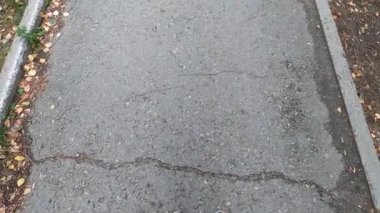 Adam kaldırım manzarasında yürüyor. 4K video. Sibirya 'da bir şehir. Yaz.