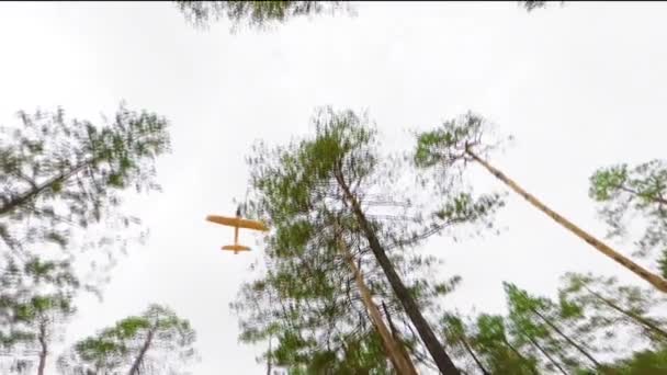 Aereo Giocattolo Volare Nella Foresta Estiva Rallentatore Video Dinamico — Video Stock