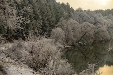 Protva Nehri'nde kış sabahı. Kaluga bölgesi. Protva Nehri.
