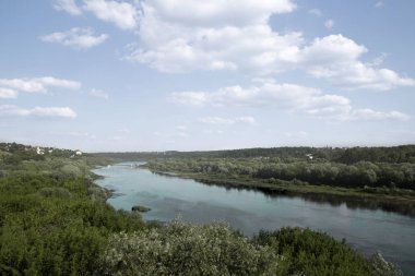 yeşil ormanlarda yaz aylarında nehir