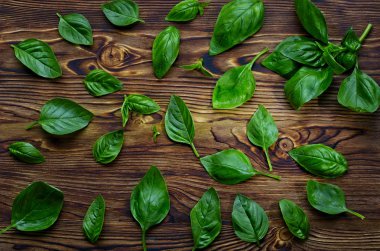 ahşap arka plan üzerinde fesleğen