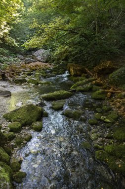 Kırım Büyük kanyon aşk bir Fincan