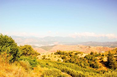 Highlands ot ve çalılar güneşli bir ile.