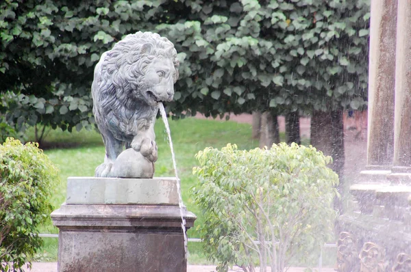 Lion Cascade Fountain Petersburg — Stock Photo, Image